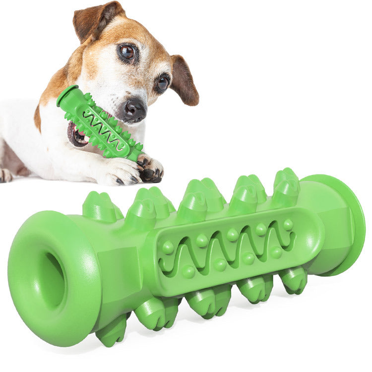 My Waggi Molar Chew Toothbrush Toy