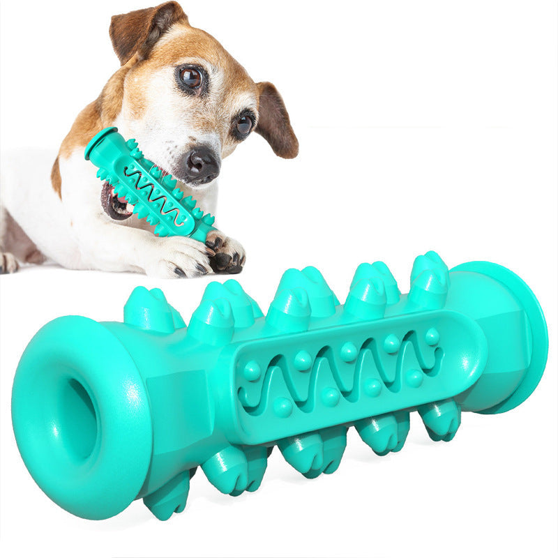 My Waggi Molar Chew Toothbrush Toy