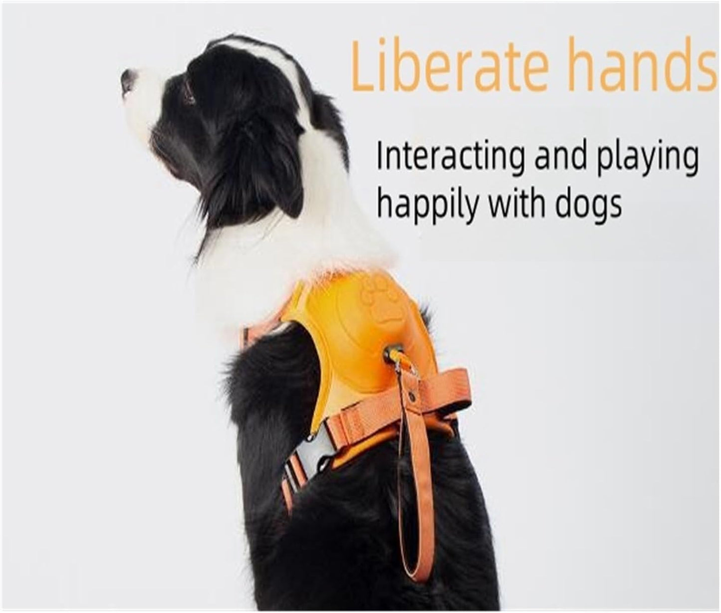 My Waggi All-in-one Retractable Dog Harness Leash