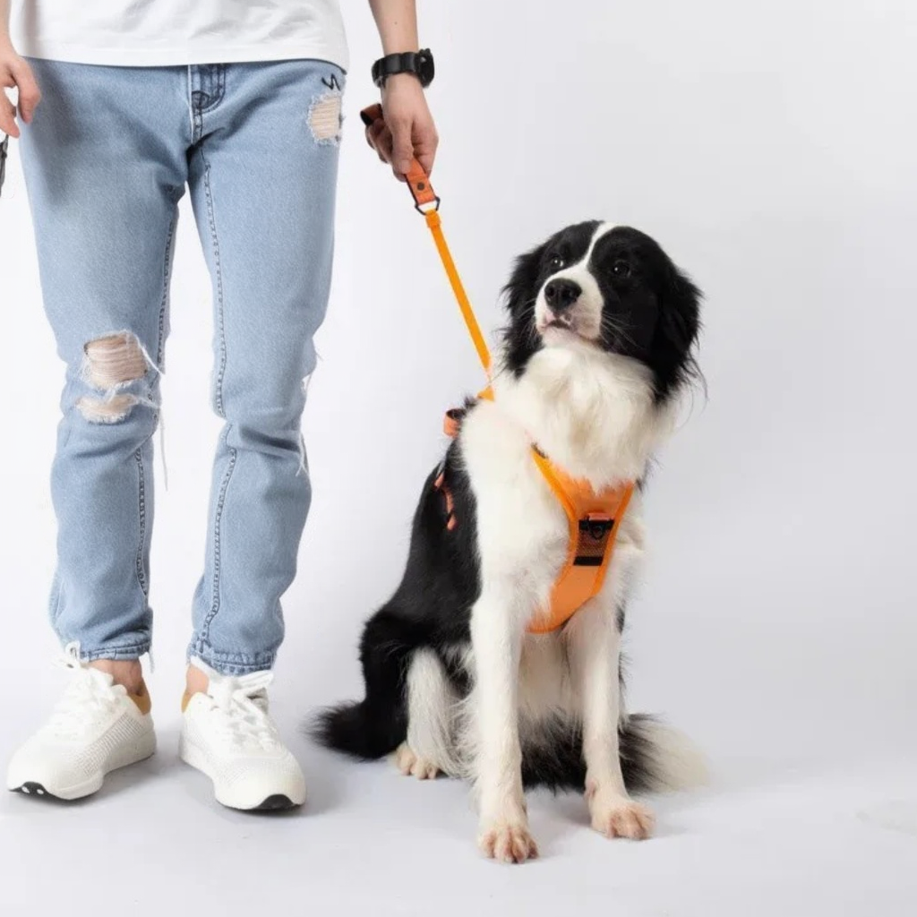 My Waggi All-in-one Retractable Dog Harness Leash