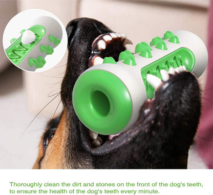 My Waggi Molar Chew Toothbrush Toy