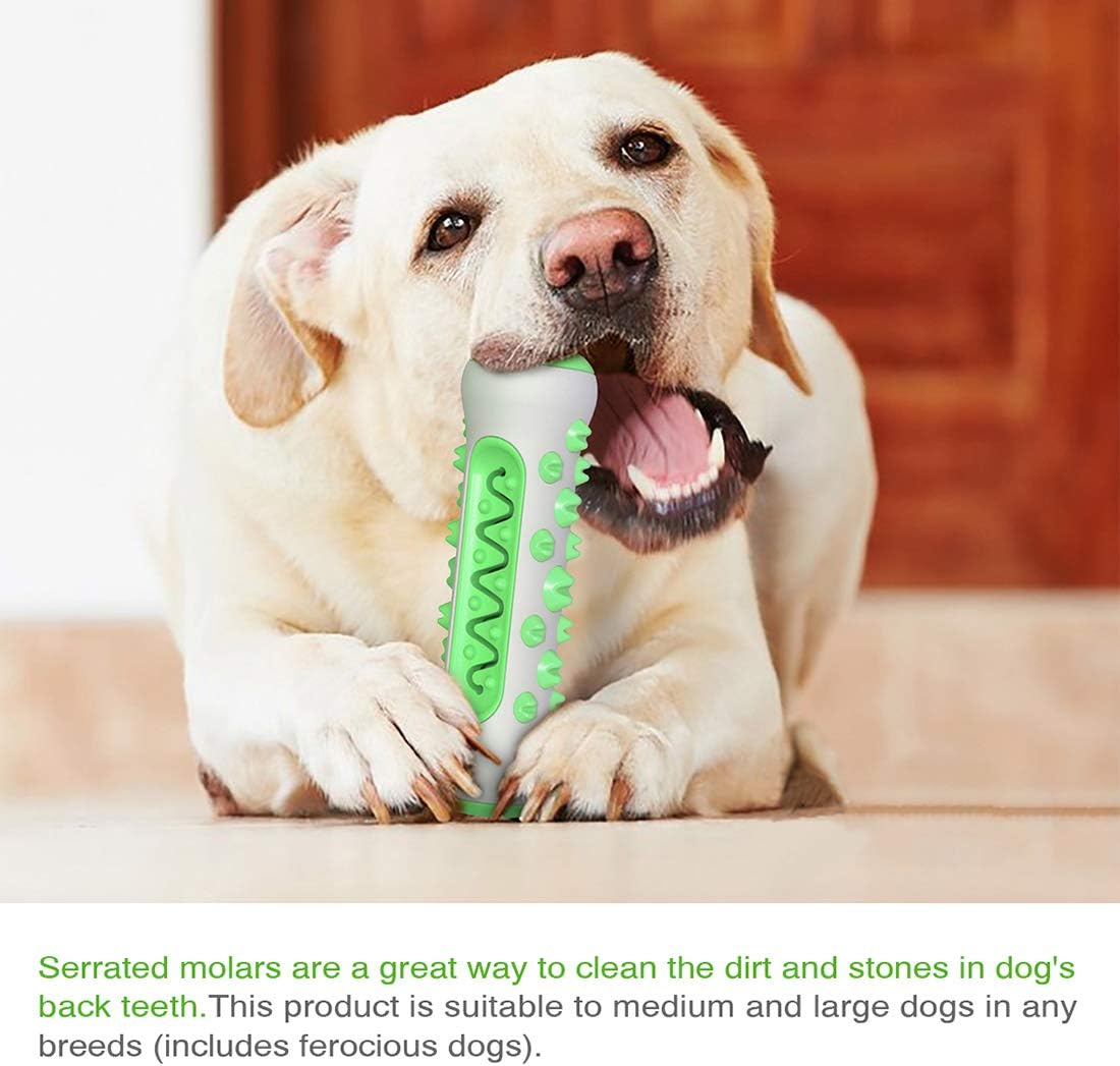 My Waggi Molar Chew Toothbrush Toy