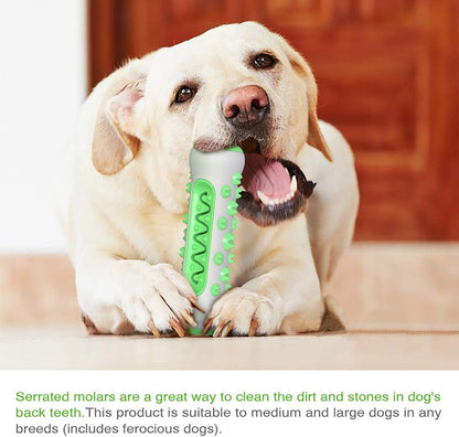 My Waggi Molar Chew Toothbrush Toy