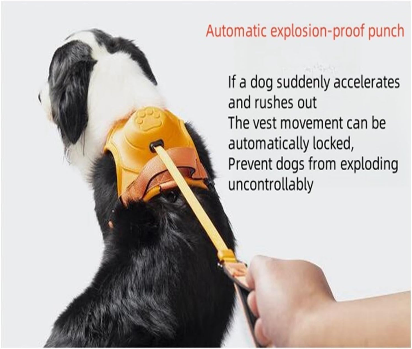 My Waggi All-in-one Retractable Dog Harness Leash