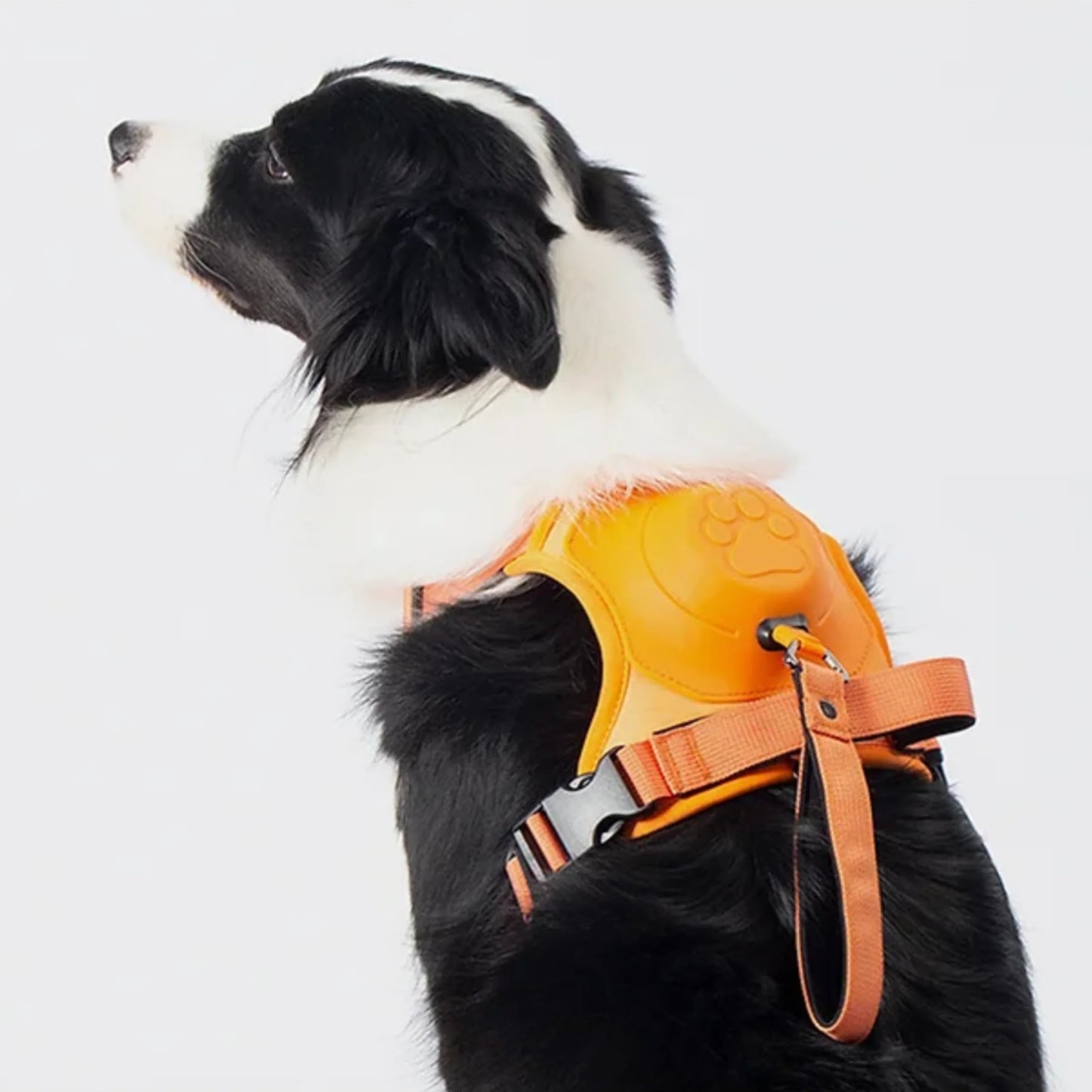 My Waggi All-in-one Retractable Dog Harness Leash