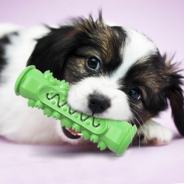 My Waggi Molar Chew Toothbrush Toy
