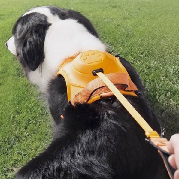 My Waggi All-in-one Retractable Dog Harness Leash